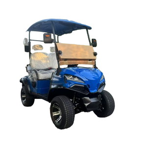 Carrito de Golf Eléctrico de 2, 4 y 6 Plazas, Controlador Curtis, Motor de 5kw, Batería de 48v, Tipo Buggy de Aluminio, Certificado CE DOT, 30km/h, 70-90km - Product Image 5