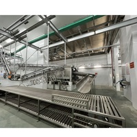 Ligne d'abattage porcin industrielle, équipement complet de transformation du porc, solution personnalisée pour abattoir