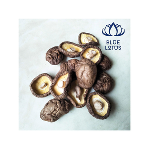 Seta de Shiitake seca Premium - Product Image 4