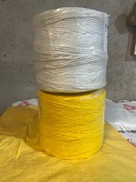 India Agricultura Banana Rafia Atar Cuerda PP Baler Twine Blanco Amarillo Agricultura PP Banana & Tomate Atar heno Baler Twine