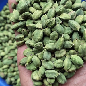 Cardamome noire à vendre en prix de gros épice de qualité supérieure disponible en vrac - Product Image 1