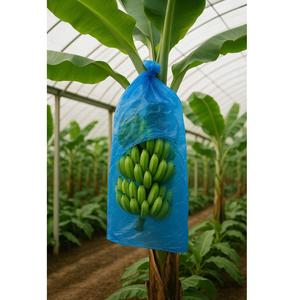 บานาน่าบันชท์ยอดนิยม1000กก. ถุงพลาสติกพีพีกั้นสำหรับปลูกผลไม้ - Product Image 3