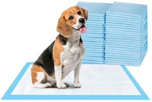High Absorption Pet Training Puppy Underpad <b>Sheet</b> Private Label Under Pad - Product Image 2