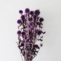 Vente en gros de fleurs séchées : Echinops Globe Thistle Blue Planet Ball pour la décoration intérieure - Saint-Valentin, Noël, Remise de diplôme