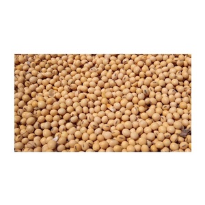 Bán buôn Hữu Cơ đậu nành/Đậu Nành Đậu/đậu nành có sẵn trực tiếp từ Mỹ - Product Image 1
