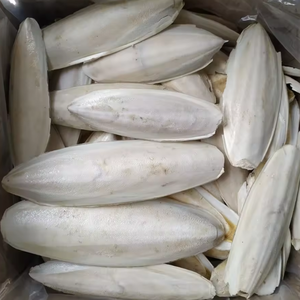 NATURAL DRIED <b>CUTTLE</b> <b>FISH</b> <b>BONE</b> WHOLESALE AT AFFORDABLE PRICE - Product Image 1