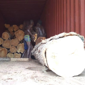 Premium Teak Wood Round <b>Logs</b> Tectona Grandis Natural Hardwood Bulk Export West Africa FOB - Product Image 2