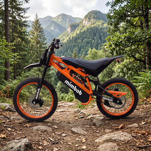 Motocicleta Eléctrica Todoterreno EM22-2 Directo de Fábrica, 2500W, 60V, 3 Velocidades, 70km/h Velocidad Máxima, 80km de Autonomía, para Adolescentes - Product Image 4