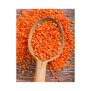 ถั่วแดงแห้งคุณภาพสูงราคาดีที่สุดสำหรับการแยกและทั้งพันธุ์ - Product Image 2