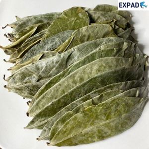 Guanábana deja una comida saludable precio barato de VIETNAM - Product Image 4
