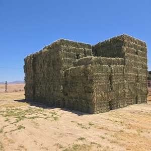 Pellets y Cubos de Alfalfa a Granel para Exportación, Grado Premium, Alimento Animal con Alto Contenido de Proteínas, Promueve la Nutrición, de EE. UU. - Product Image 4