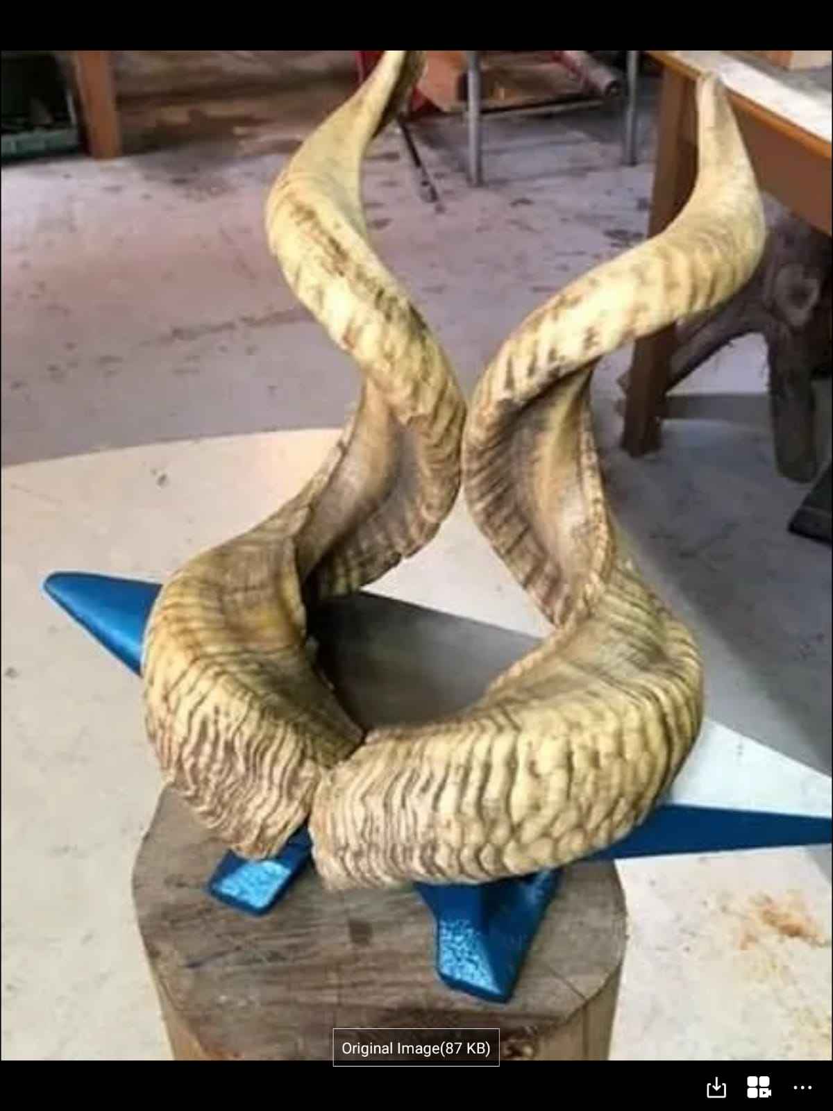 ธรรมชาติ