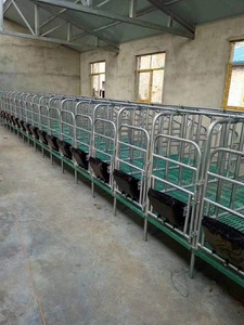 Optimal ZHONGNUO 2017 Nuevas soluciones para el parto de cerdos Cama de cerdas y puesto de parto Equipo de cría de animales de granja para cerdos - Product Image 3