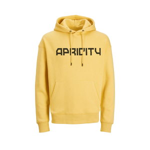 Sweat-shirt unisexe d'hiver personnalisé avec logo, en molleton de coton épais, style streetwear, vente en gros, marque privée, OEM - Product Image 1