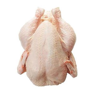 Brazilian Halal Frozen Chicken High Quality <b>Poultry</b> <b>Meat</b> Fully Halal Certified Clean Cut and Frozen for Freshness - Product Image 1