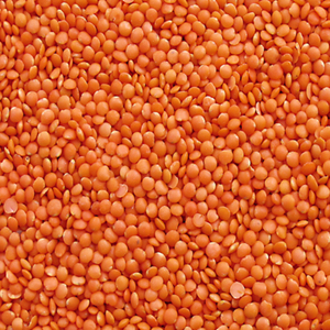 Lentilles rouges riches en nutriments, en gros, de haute qualité, nouvelle récolte, lentilles rouges fendues bon marché à vendre - Product Image 1
