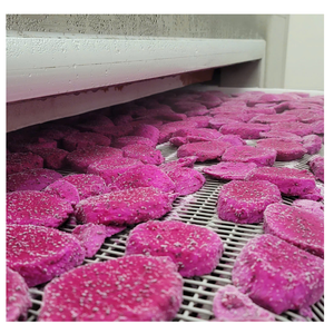 Premium Vietnam Frozen Dragon Fruit Red White Variedad Cubos Snack saludable para el mercado - Product Image 1