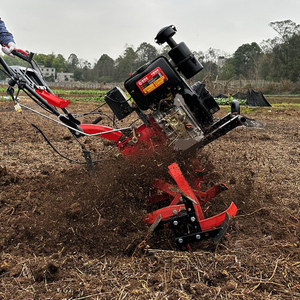 Rouler sur cultivateur rotoculteur jardin mini tracteur équipement agricole - Product Image 6