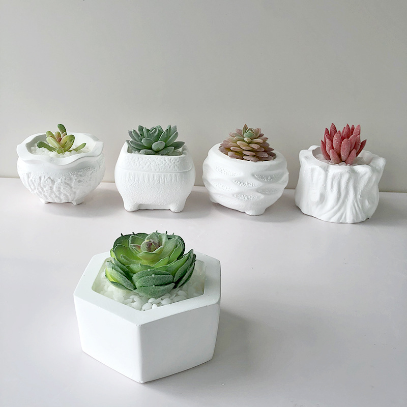 succulent planter pot String of Buttons Crassula perforata