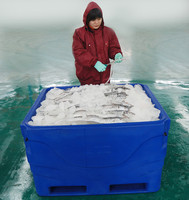 Boîte à poisson isolée en plastique rotomoulé personnalisée de 600 L, glacière, bacs à poisson