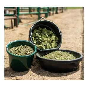 Pellets de heno de alfalfa nutritivos de la mejor calidad, suministro a granel para caballos, cerdos, ganado, aves de corral, ganado, peces, piensos para perros - Product Image 2