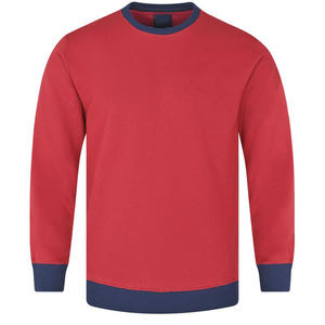 Sweat-shirt thermique unisexe 100% coton pour l'hiver, chaud et durable, grande superposition de broderie 3D, patch brodé personnalisé, imprimé de marque - Product Image 1