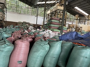 [Acheter maintenant] Poivre noir séché de la meilleure qualité 5 mm 500 g MC 550 MC Certifié ASTA Marque Agrikim Fournisseur fiable +84 399521266 - Product Image 6