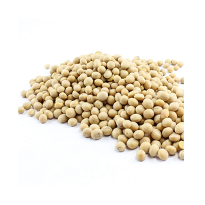 Soja jaune biologique de haute qualité sans OGM et vente en gros d'usine délicieuse à des prix compétitifs - Product Image 1