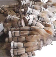 WONDER OVERSEAS cheveux de queue de buffle de haute qualité vrais poils de vache et de taureau d'Inde pour la fabrication de cosmétiques et de pinceaux