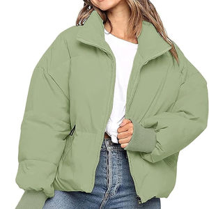 Veste matelassée pour femme, vente chaude, vêtements d'hiver décontractés, douce, confortable, imperméable, coupe-vent, respirante, doublure en nylon avec capuche - Product Image 2