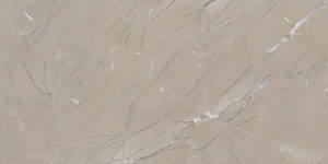 Gran oferta 2024, azulejo esmaltado de porcelana de cerámica 60*120, azulejo de suelo de pared rústico pulido, baño, cocina, hogar, uso al aire libre, arcilla hecha - Product Image 6