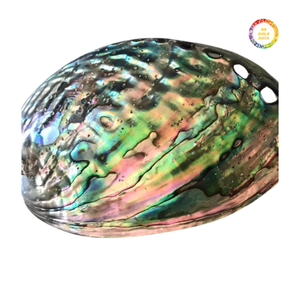 Concha de Abulón Azul con Color Natural Sin Teñir, Utilizada en Incrustaciones de Madera, Joyería, Artesanía y Accesorios Decorativos - Product Image 1