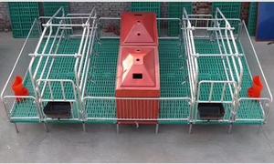 Jaulas de Paridera ZHONGNUO ZN-250 Nuevas y Personalizadas para la Cría de Cerdos, 880 kg, Venta Directa del Fabricante con 1 Año de Garantía - Product Image 4