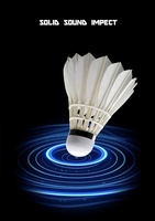 Volants de badminton personnalisés en plumes d'oie de classe A, légers, haute durabilité, qualité similaire aux volants d'avion EG1130