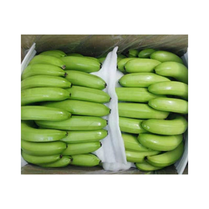 Productos naturales de grado A Fresh Cavendish Banana para exhibiciones de buffet de hotel, tamaño clasificado Vietnam, alta calidad Premium mejor precio - Product Image 6