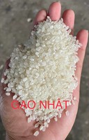 Riz Jasmin ST25 à Grains Longs de Haute Qualité du Vietnam – Vente en Gros de Riz Brun Noir Parboiled Parfumé pour la Cuisson