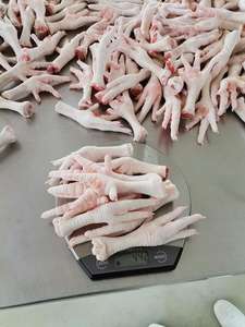 Patas de Pollo Congeladas al por Mayor, Calidad Superior, Envasadas al Vacío, Bajas en Grasa, Nutritivas, 3 Años de Vida Útil, Listas para Suministro - Product Image 3