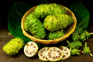 Buen precio jugos saludables Noni fresco con precio competitivo jugos Morinda citrifolia - Product Image 2