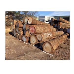 Bois de chêne et hêtre Bois de chauffage mixte Bois de chauffage bûches Vente en vrac de bois de chauffage de grumes de mangrove Produit lié à l'énergie - Product Image 4