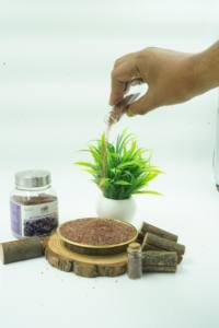 Vente en gros de poudre de sel de bambou torréfié 9X extrait de plantes cultivées sauvages pot Mason emballé sous vide en boîte pour les soins de beauté - Product Image 3