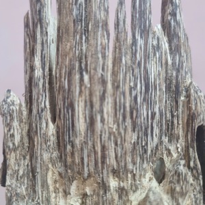 Découvrez le parfum boisé et profond de l'Agarwood Oud - Product Image 4