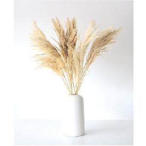 Bouteille DESIGN moderne élégant nouveau DESIGN VASE à fleurs en métal VASE de décoration pour la décoration de la maison et la décoration de mariage - Product Image 2