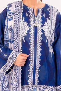 Robe d'hiver lourde 2025 femmes meilleure vente nouveau Design pelouse Shalwar Kameez robe avec Dupata lavable dames meilleur prix - Product Image 5