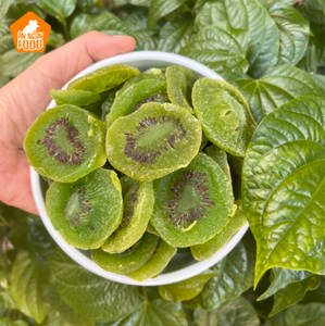 Tranches de kiwi lyophilisées à partir de kiwi naturel pour la préparation de desserts et la production de collations, export Vietnam. - Product Image 5