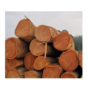 Troncos de Sapele para exportación Troncos de Sapele en todo el mundo para chapa de alta calidad Troncos de Sapele para cercado de madera - Product Image 5