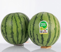Flor De Goias Pingo Doce Verse Gele Watermeloen - Hoge Brix, Knapperig, Weinig Zaden, Stevige Vruchtvlees, Premium Kwaliteit, Lange Houdbaarheid, Klaar om te Eten