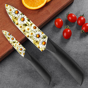 Juego de 2 Cuchillos de Cocina con Hoja de Cerámica Hechos a Medida, Mango de Plástico, Aptos para Lavavajillas, Alta Calidad, Entrega Rápida, Precio de Fábrica - Product Image 6