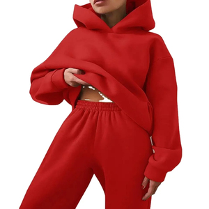 Sudaderas con capucha para mujer Jerséis Gimnasio Entrenamiento personalizado Crop Top Sudadera con capucha de gran tamaño OEM sudaderas con capucha y sudaderas para mujer - Product Image 1