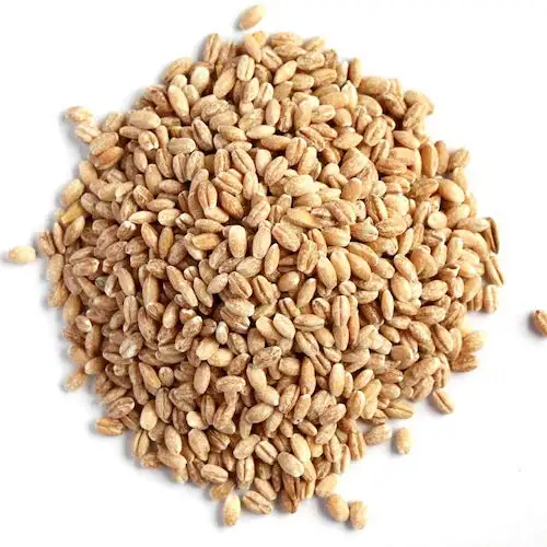 乾燥高タンパク質大麦穀物動物飼料用