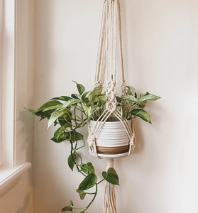 Lot de 2 cintres pour plantes en macramé - Product Image 1